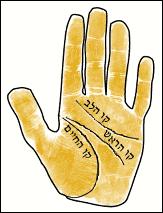 ספר לקריאת כף היד