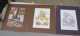 שלוש תמונות מתוקות