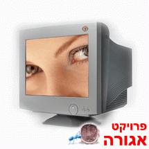 מסך מחשב 17 אינץ' CRT