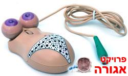 עכבר "שובב" למחשב