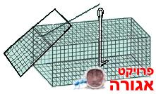 השאלת מלכודת ממתכת לחולדה