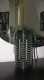 קוטל יתושים
