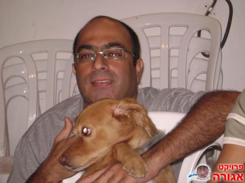 דרושים מתנדבים למסיבת חנוכה