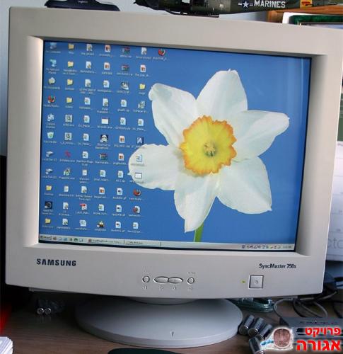 מסך סמסונג 17" לא דק