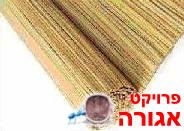סכך לנצח