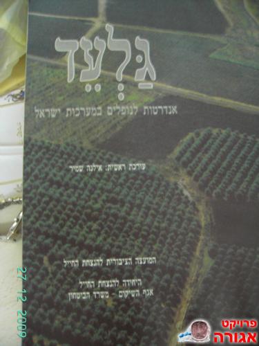 ספר אלבום גלעד