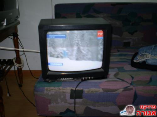 טלויזיה 20''