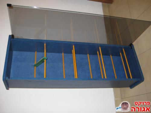 מעמד דיסקים