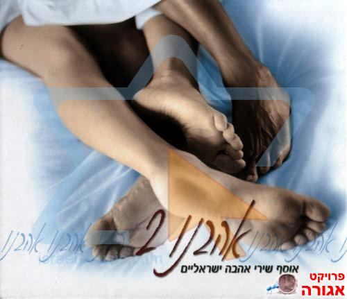 אוסף שירים - "אהבנו 2"