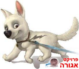 כלבה לאימוץ
