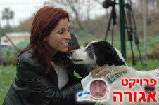 יובל המדהים מחפש בית