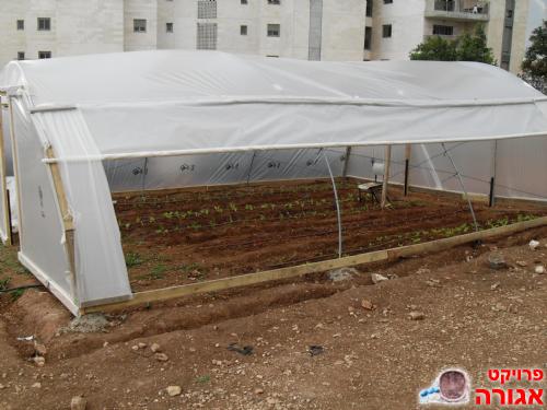 קשתות לחממה חינוכית