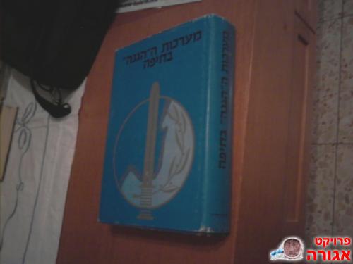 מערכות ההגנה בחיפה