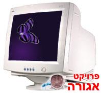מסך מחשב