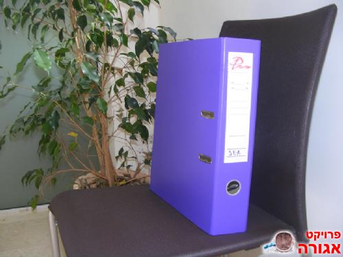 12 קלסרים קשיחים A4