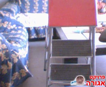 סולם קטן 3 שלבים