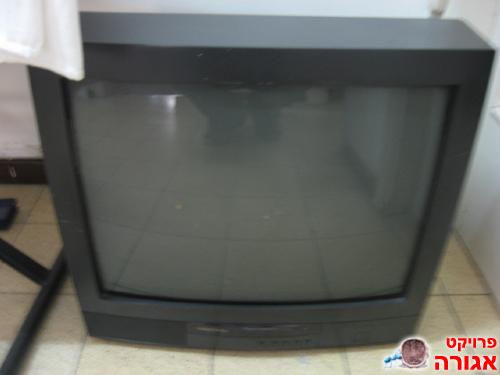 טלוויזיה