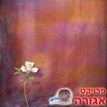 ספרי קריאה