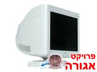 מסך מחשב CRT(עבה) 19"