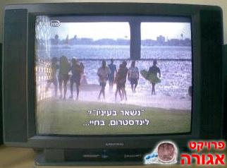 טלויזיה "25 של גרונדינג