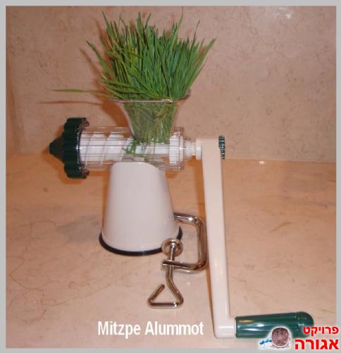 מסחטה לעשב חיטה