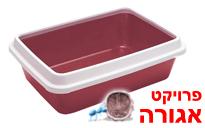 ארגז חול לחתול