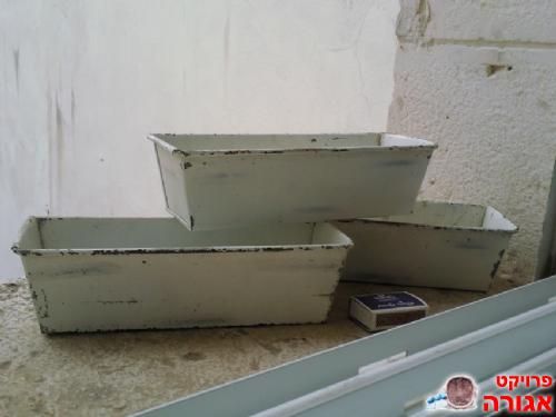 3 עדיניות קטנות מפח
