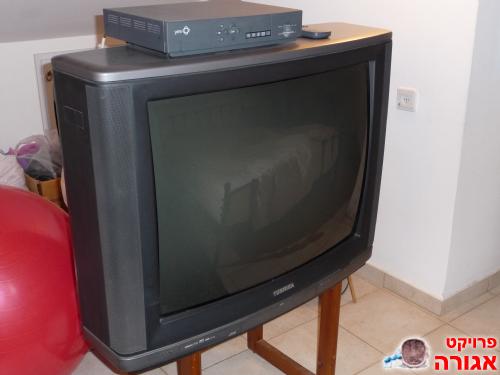 טלויזיה 32 אינטש טושיבה