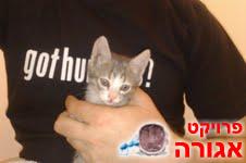 גור ממש חמוד!!!