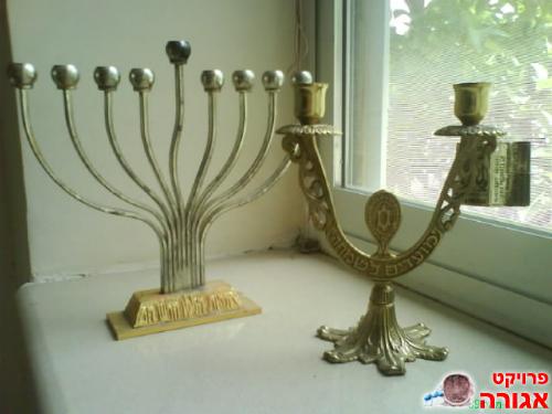 תשמישי