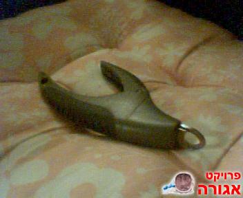 קוצץ ציפורניים לחתול