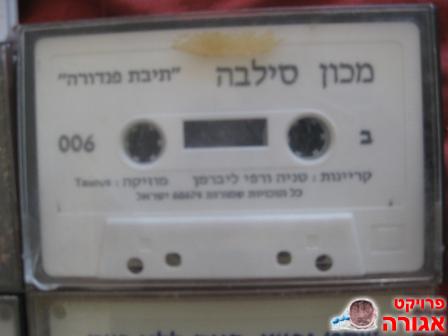 מכון סילבה תיבת פנדורה