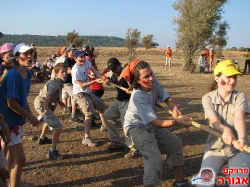 חבל למשיכת חבל + חבלים