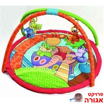 אוניברסיטה