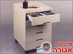 ארונית