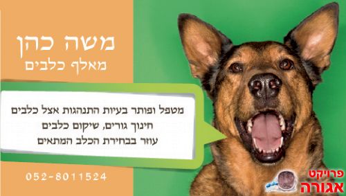 כלוב טיסה/מלונה לכלב