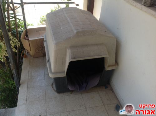 מלונה גדולה