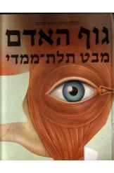 ספר ילדים על גוף האדם