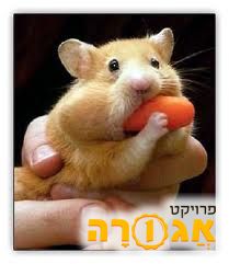 דרושים בדחיפות אוגרים