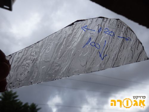 זככית "צ'ינצ'ילה" - שחורחור, מחספס