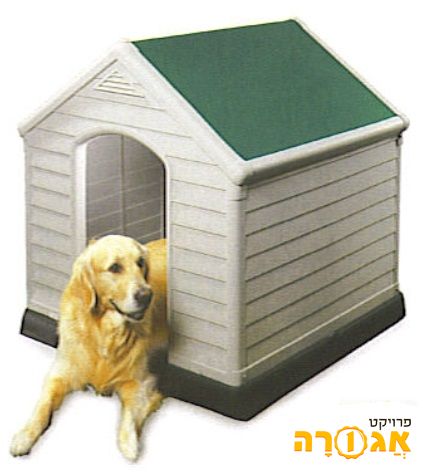 מלונה