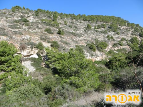 דרוש/ה עו"ד בהתנדבות למען הטבע