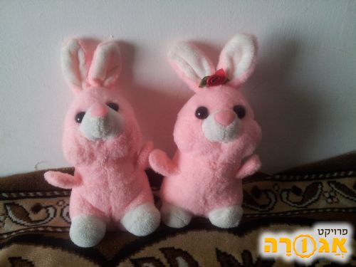ארנבים צעצוע