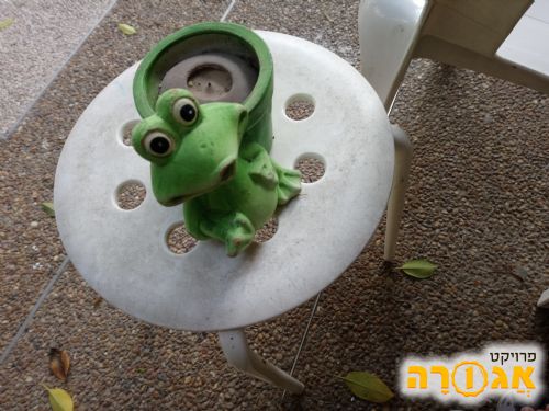 כלי נוי בצורת צפרדע