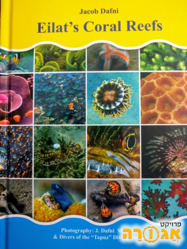 ספר באנגלית על האלמוגים באילת