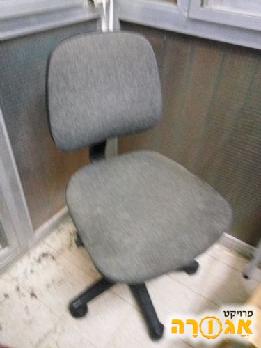 כסא/ כסאות משרדיים