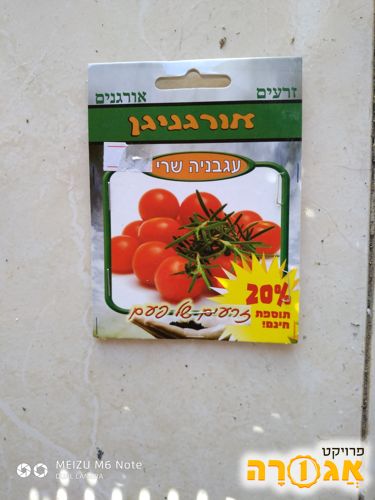 זרעי עגבניה שרי