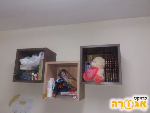 מחפש כוורות