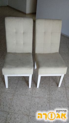 זוג כסאות לבנים מרופדים