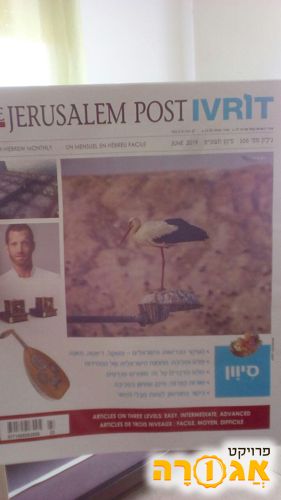 7 גליונות של Jerusalem Post Ivrit